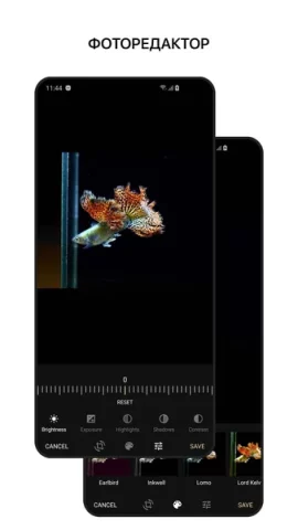 1Gallery - скриншот 3