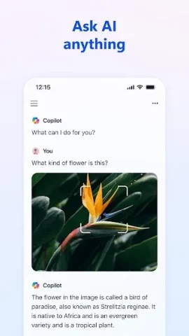 ​​Microsoft Copilot - скриншот 2