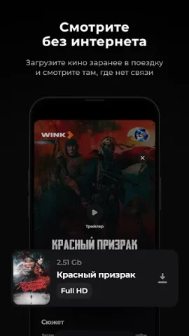 Wink - скриншот 6