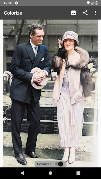 Colorize Images — скриншот 2