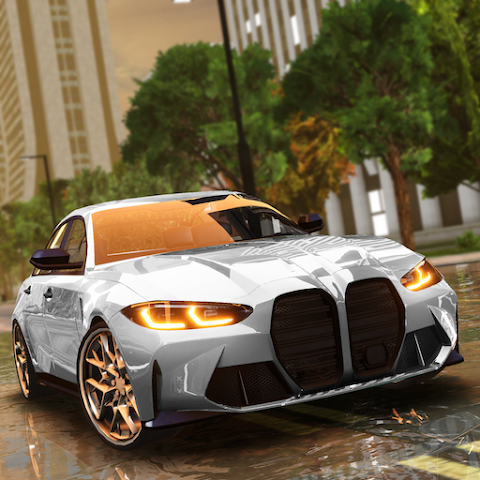 Driving School Simulator : Evo