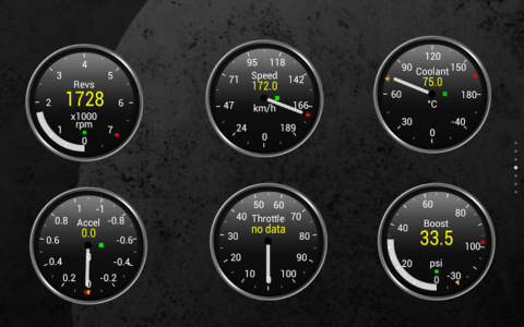 Torque Pro - скриншот 5