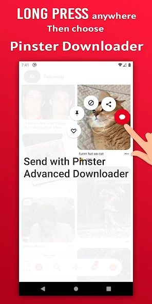 Pinster Advanced Downloader — скриншот 1