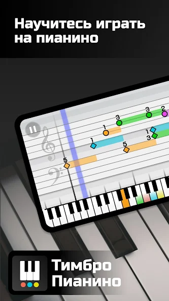 Timbro Piano — скриншот 1