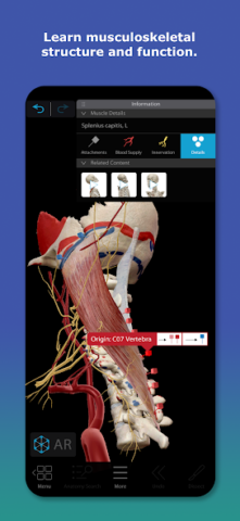 Human Anatomy Atlas 2026 - скриншот 3
