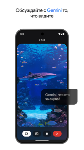 Google Gemini - скриншот 3