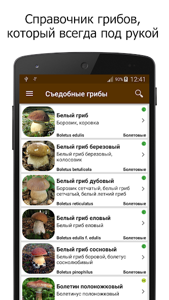 Скриншот приложения Грибы — скриншот 1