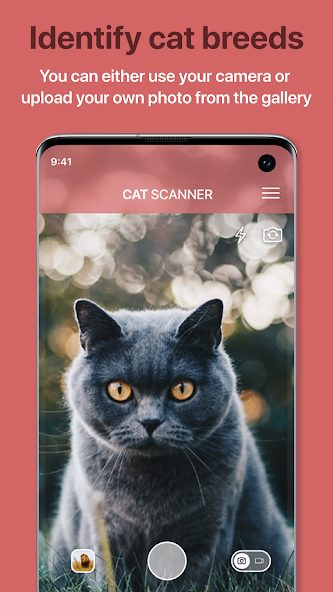 Скриншот приложения Cat Scanner: Породы кошек — скриншот 1