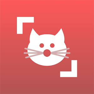 Cat Scanner: Породы кошек
