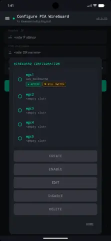 Configure PIA WireGuard - скриншот 3