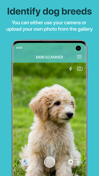 Скриншот приложения Dog Scanner: Породы собак — скриншот 1