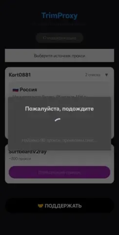 TrimProxy - скриншот 3